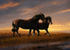 A16 Trotting home  (A4)