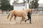 SBM_07622