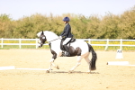 SBM_007878