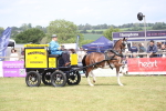 SBM_06979