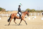 SBM_016977