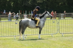 SBM_05396