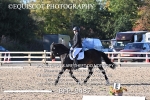 BPP_9487