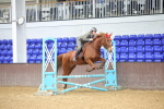 SBM_001542
