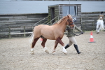 SBM_006203