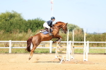 SBM_008302