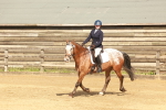 SBM_000179