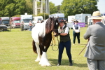 SBM_04162