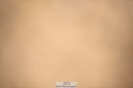 230429A-093346-00021