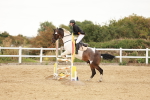 SBM_009031