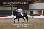 BPP_9384