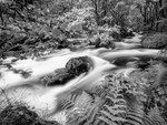 Duddon 01