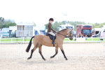 SBM_17103