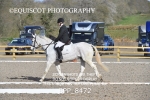 BPP_8472