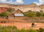 Old Barn 3167