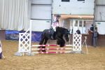 SBM_000881