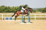 SBM_000161