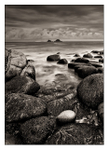 Jurassic Seascape