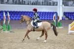 SBM_000327