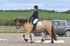 BPP_5781