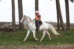 SPXX3658
