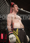 FULL BOAR CAGE FIGHTING 2016 portfolio