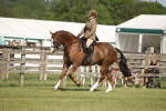 SBM_09683