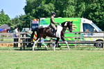 SBM_19509