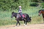 WJ7_7515