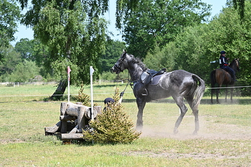 WJ7_3848