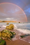 z2272 Showery Evening, Freshwater Bay