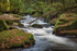 Autumnal Splendour 3