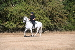 WJ6_6992