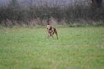 WJ6_0969