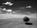 Bentha Hill 01