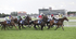  YORK RACES