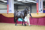 SBM_20749