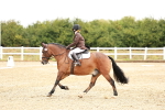 SBM_001463