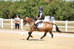 SBM_001541