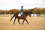 SBM_008968