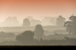 Suffolk in the Mist