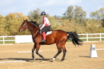 SBM_002085
