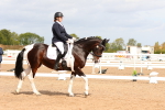SBM_02036