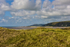 ACP_2342-1