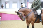 SBM_08199