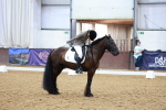 SBM_002330