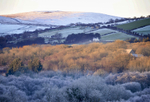 Frost and Snow Foel Eryr