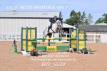BPP_6539