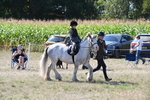WJ6_7919