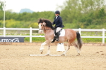 SBM_006441